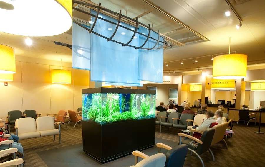 Ohio ENT & Allergy Physicians in Columbus, Ohio