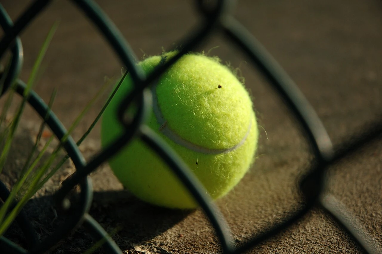 A close view of a yellow tennis ball on a court seen through a chain link fence